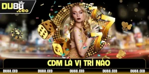 CDM Là Vị Trí Nào? Khám Phá “Trái Tim” Của Đội Bóng